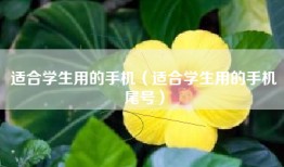 适合学生用的手机（适合学生用的手机尾号）