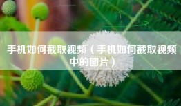 手机如何截取视频（手机如何截取视频中的图片）