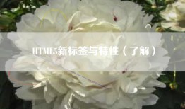 HTML5新标签与特性（了解）