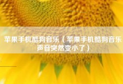 苹果手机酷狗音乐（苹果手机酷狗音乐声音突然变小了）