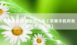 苹果手机所有型号大全（苹果手机所有型号大全价格）