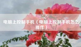 电脑上控制手机（电脑上控制手机怎么操作）