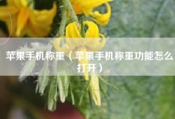 苹果手机称重（苹果手机称重功能怎么打开）