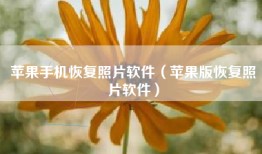 苹果手机恢复照片软件（苹果版恢复照片软件）