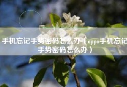 手机忘记手势密码怎么办（oppo手机忘记手势密码怎么办）