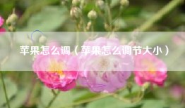 苹果怎么调（苹果怎么调节大小）