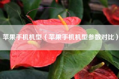 苹果手机机型（苹果手机机型参数对比）