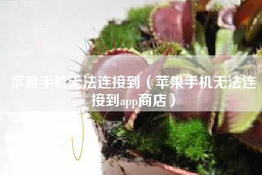 苹果手机无法连接到（苹果手机无法连接到app商店）