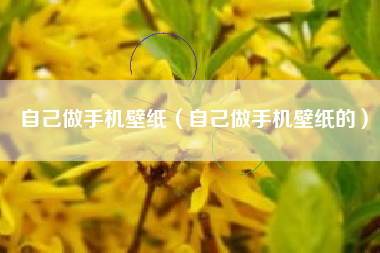 自己做手机壁纸（自己做手机壁纸的）