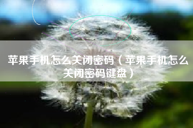 苹果手机怎么关闭密码（苹果手机怎么关闭密码键盘）