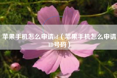 苹果手机怎么申请id（苹果手机怎么申请ID号码）