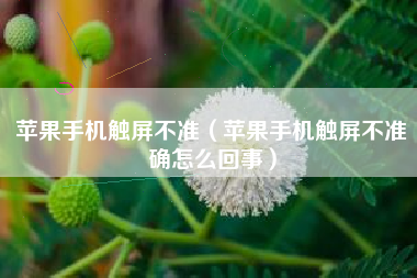 苹果手机触屏不准（苹果手机触屏不准确怎么回事）