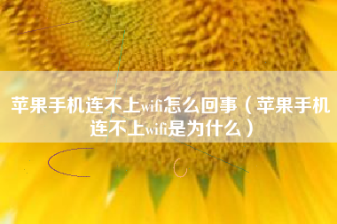 苹果手机连不上wifi怎么回事（苹果手机连不上wifi是为什么）