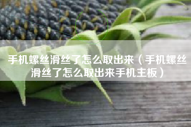 手机螺丝滑丝了怎么取出来（手机螺丝滑丝了怎么取出来手机主板）